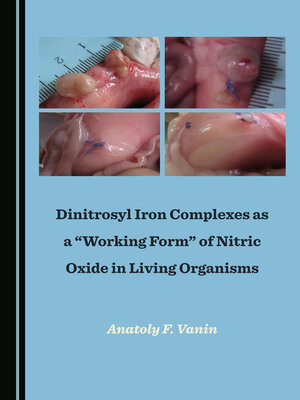 cover image of Dinitrosyl Iron Complexes as a “Working Form” of Nitric Oxide in Living Organisms